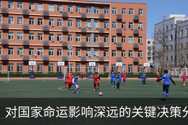 对国家命运影响深远的关键决策分析