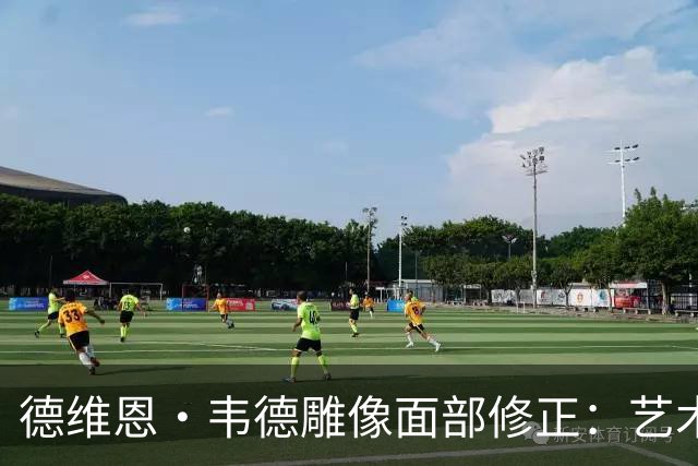 德维恩·韦德雕像面部修正：艺术与公众认同的交互